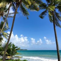 6 activités à faire en famille à la Martinique