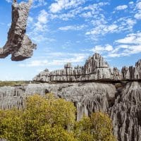 À la découverte de la forêt de pierre des tsingy de Bemaraha : un paysage unique à Madagascar