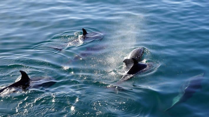 Les meilleures activités à faire sur la côte autour d’Olbia