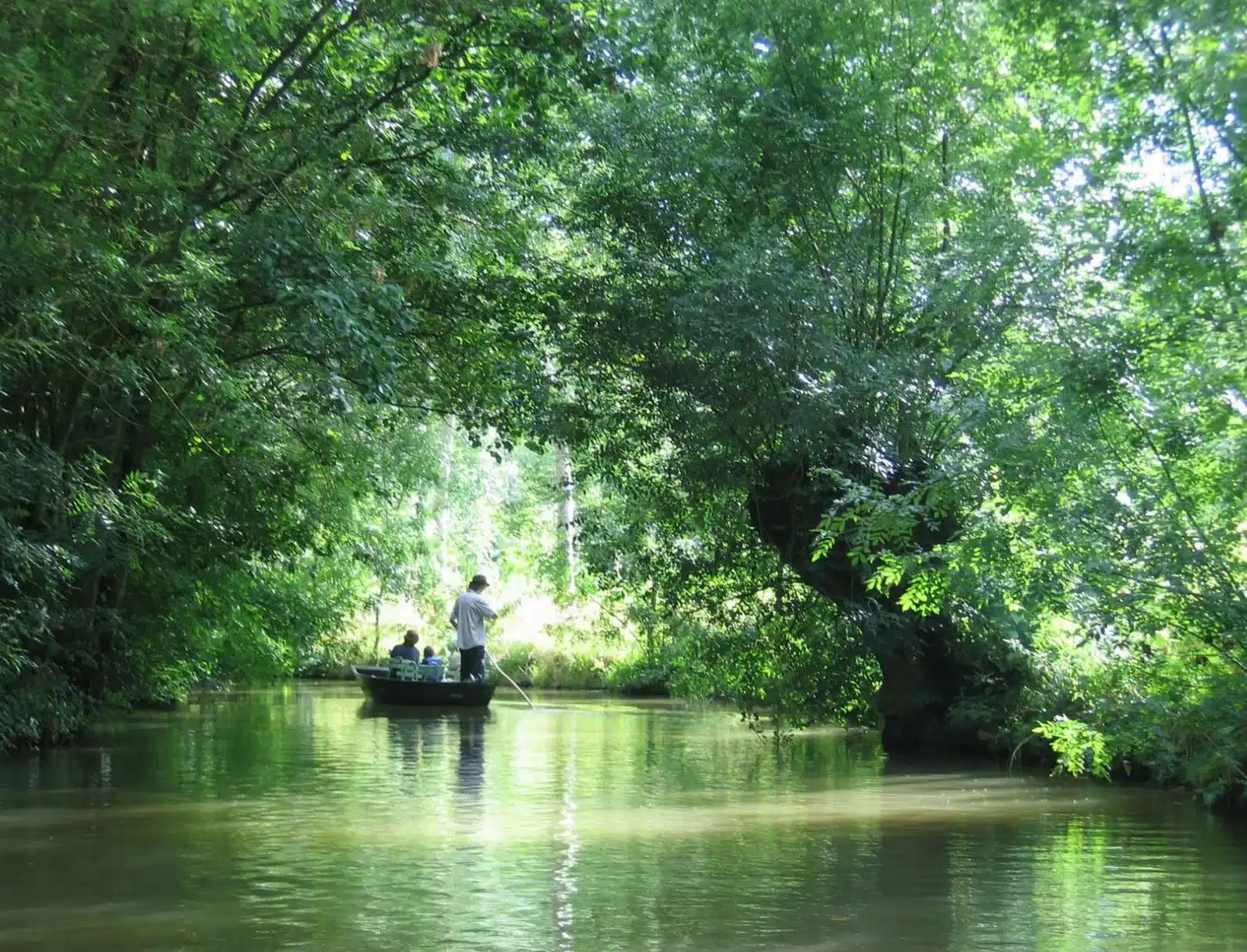 Barque traditionnelle naviguant dans les canaux verdoyants du Marais poitevin en hiver